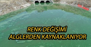 Renk Değişimi Alglerden Kaynaklanıyor