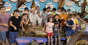 TÜRKİYE DENİZ CANLILARI MÜZEİ 50 YAŞINDA