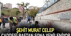 Şehit Murat Celep caddemize prestij kazanıyor