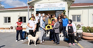 Sultangazili çocuklardan hayvanlar gününe özel ziyaret