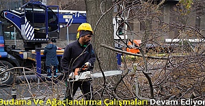 Budama Ve Ağaçlandırma Çalışmaları Devam Ediyor