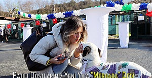 Patili Dostlarımız Yeni Yıla “Merhaba” Dedi