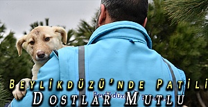 Beylikdüzü’nde Patili Dostlar Mutlu