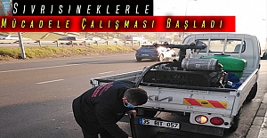 Maltepe’de Sivrisineklerle Mücadele Çalışması Başladı
