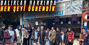BALIKLAR HAKKINDA HER ŞEYİ ÖĞRENDİK