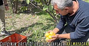 Çiftçinin ürettiği ürünler tarlada kalmayacak