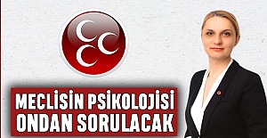 Jasmina Türkoğlu meclis yolunda