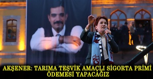 Akşener: Tarıma teşvik amaçlı sigorta primi ödemesi yapacağız