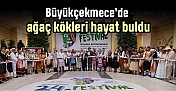 Büyükçekmece’de ağaç kökleri hayat buldu